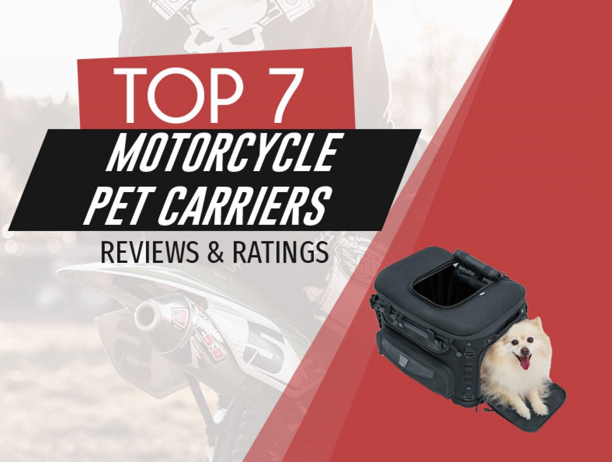 Best Motorcycle Pet Carrier for 2021 Reviewed | Road Racerz